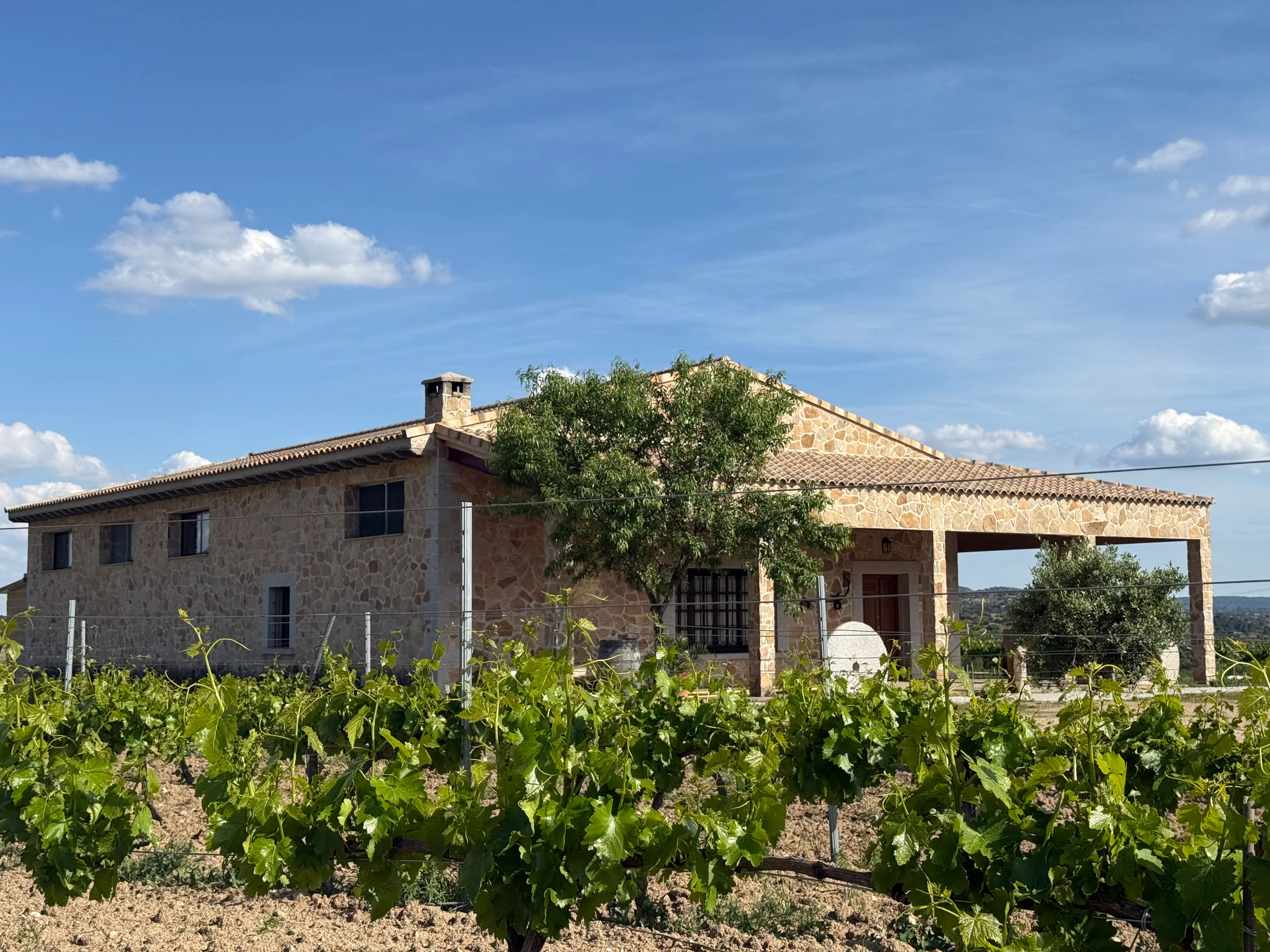 Interior de la bodega Llano Las Navas de día