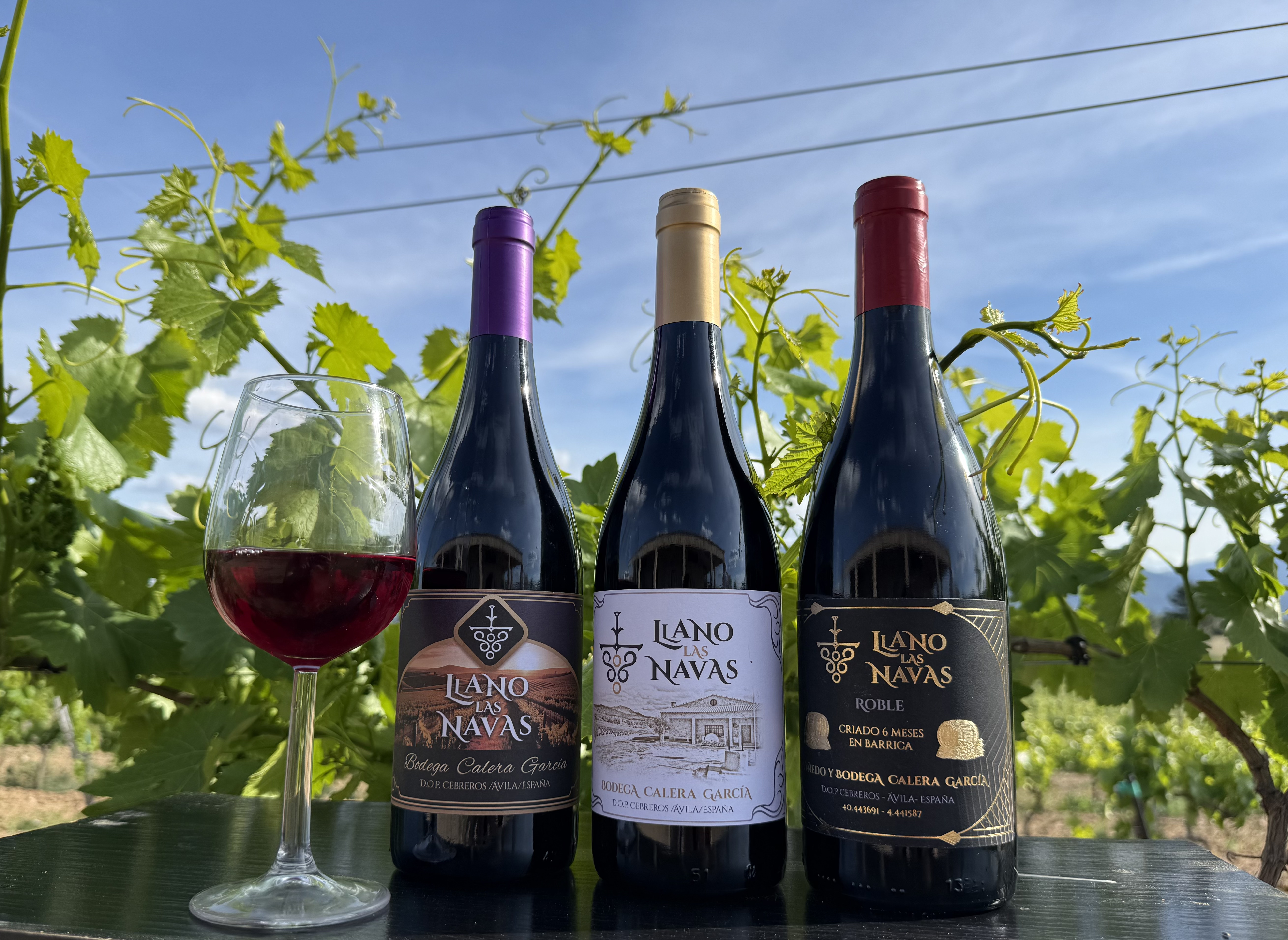 Los tres vinos de Llano las Navas con copa en el viñedo