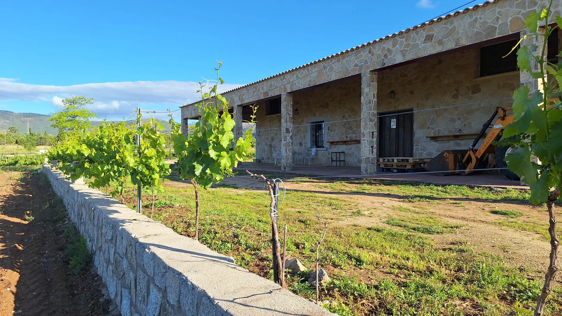 La bodega con las viñas en primer plano