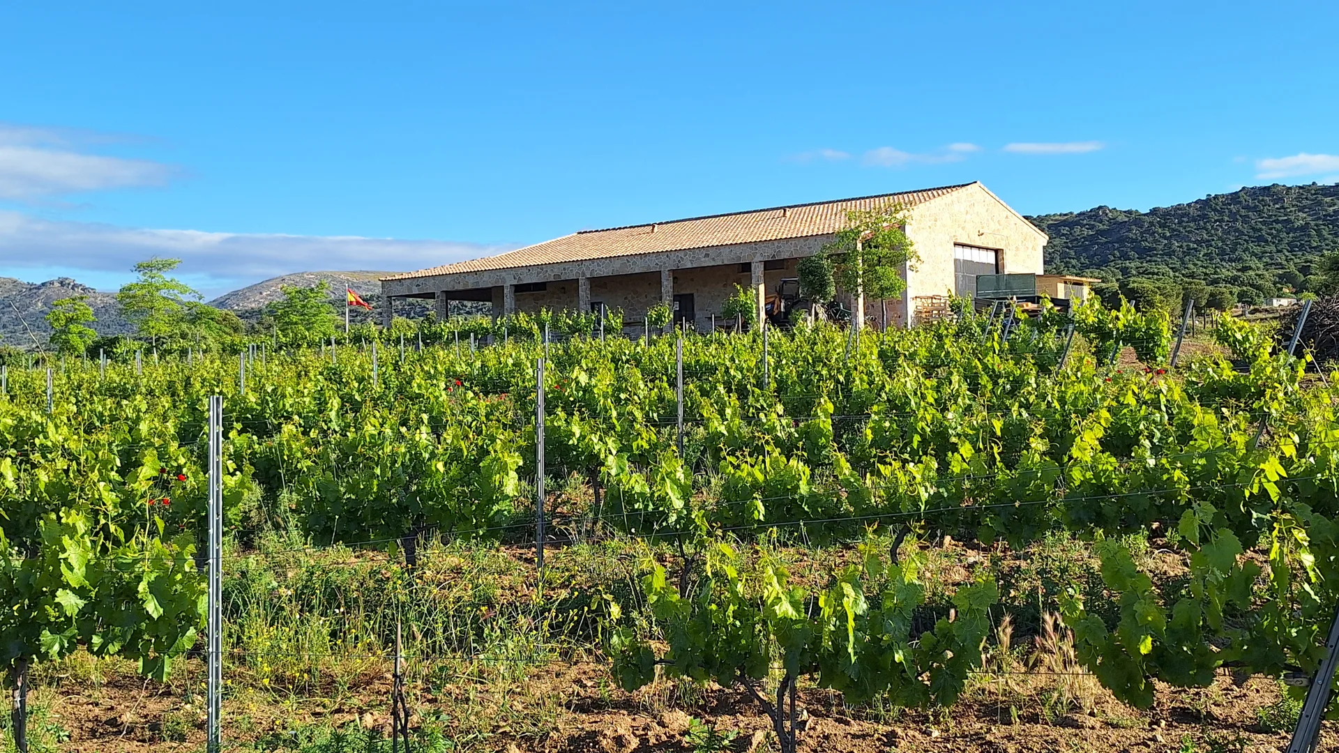 La finca vista desde el viñedo