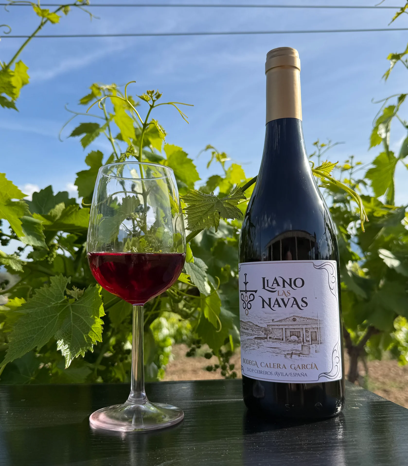Botella de Viñas Altas